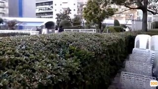 亚洲AV.三对鸳鸯一张床在线日本免费一区香蕉视频,亚洲毛片免费一级,国产在线精品一区亚洲毛片免费一级,国产在线精品一区二区不卡麻豆